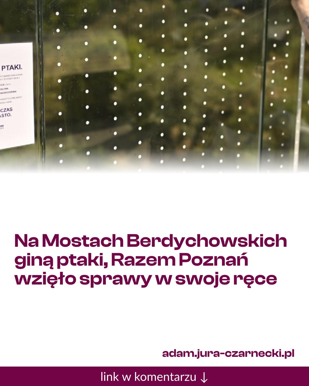 Grafika do udostępnienia: Na Mostach Berdychowskich giną ptaki, Razem Poznań wzięło sprawy w swoje ręce