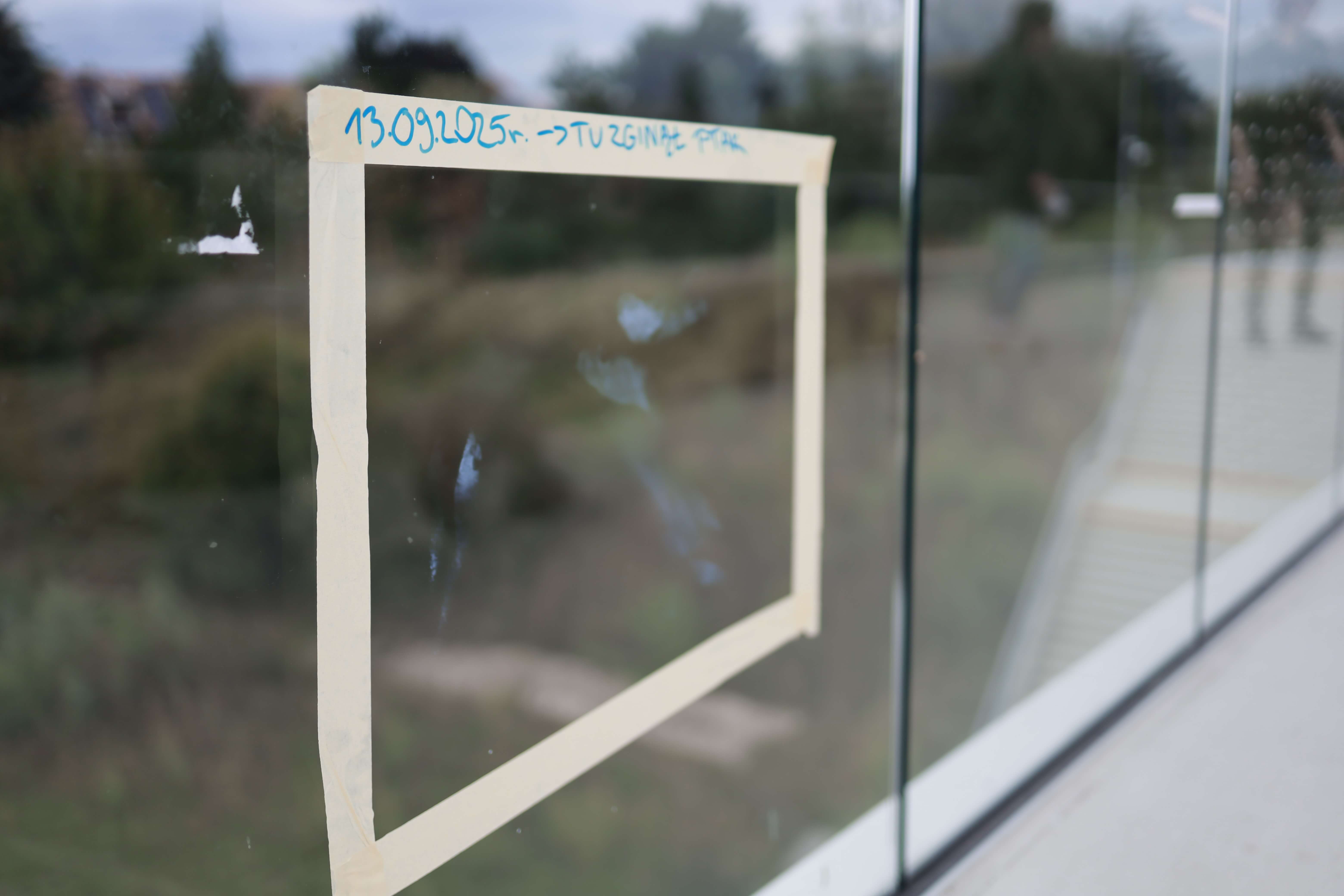Fragment przezroczystej balustrady mostu Berdychowskiego z wyklejonym taśmą prostokątem. Na taśmie odręczny napis: „13.09.2025 r. → TU ZGINĄŁ PTAK”. W środku prostokąta widoczne ślady odbicia ptasich skrzydeł