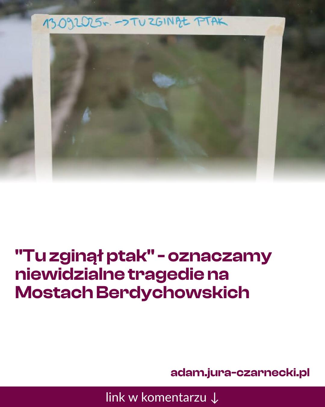 Grafika do udostępnienia: "Tu zginął ptak" - oznaczamy niewidzialne tragedie na Mostach Berdychowskich